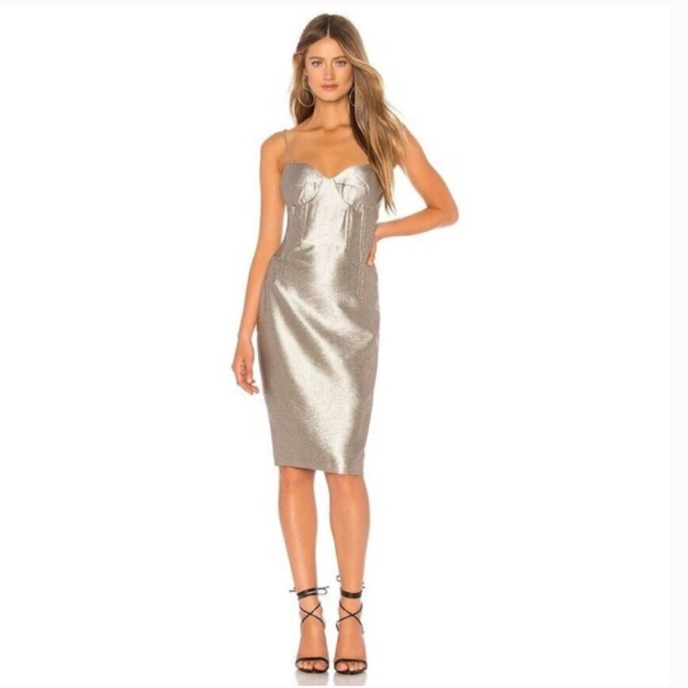 NWT Sz6/Med Bardot Golden Sheath Dress ($149)